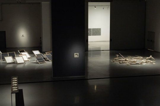 ekthesi-kipoi somatidion